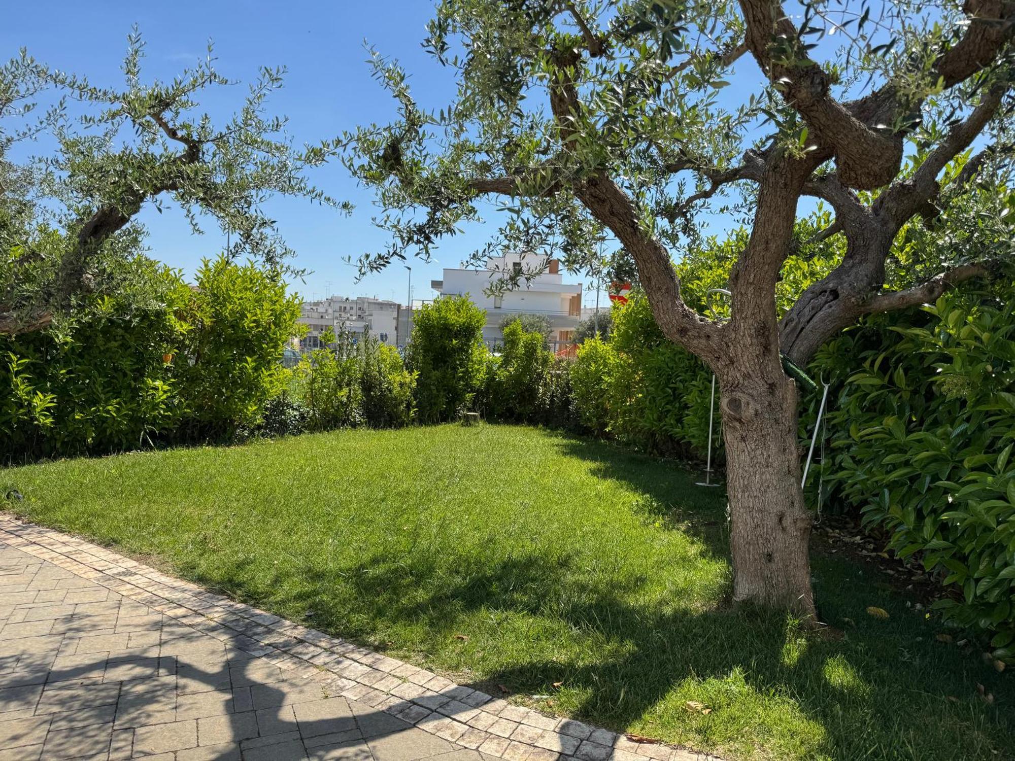 Appartement I Cinque Ulivi à Alberobello Extérieur photo